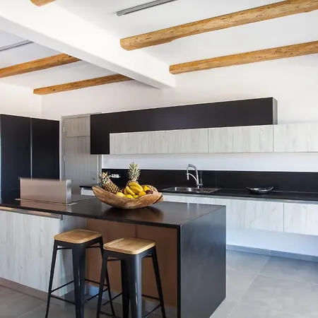 Villa Myconian Platinum Kalafatis