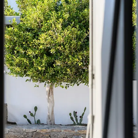 Myconian Platinum Superior & Junior *