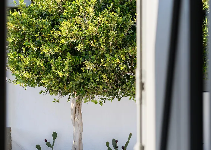 Myconian Platinum Superior & Junior *